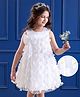 Mark & Mia Net Woven Sleeveless Party Dress With Bow & Butterfly Applique - White