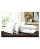 JDX Cushion Filler | Hotel Quality Premium Fibre Sofa Cushions Set of 5 (BD)