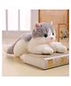 Tickles Cat Soft Stuffed Plush Animal Toy for Kids Birthday Gifts (Length 30 cm Color: White and Grey)