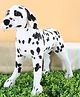 Tickles 50 cm Soft Stuffed Dalmatian Dog Animal Plush Toy for Kids Room ( Color Black and White)