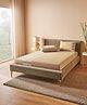 D Decor 100% Cotton Plains And Texture 180 TC King Bedsheet With 2 Pillow Covers - Beige