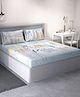 D Decor 100% Cotton Kids 145 TC Double Bedsheet With 2 Pillow Covers - Blue
