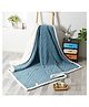 Butterthief  Cozy Super Soft Warm Double Layered Kids Sherpa Blanket - Royal Blue