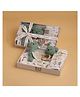Abracadabra Feeding Essentials Gift Set - Green