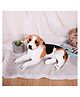 Tickles 42 cm Soft Stuffed Plush Animal Laying Beagle Dog for Kids Boys & Girls (Color White and Brown )