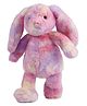 Tickles Rainbow Bunny Long Ear Rabbit Soft Plush Stuffed Animal Toy for Kids Boys & Girls Birthday Gifts (Size: 30 cm Color: Multi colour)