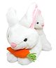 Tickles 26 cm Mother Baby Rabbit with Carrot Soft Stuffed Plush Animal Toy for Kids Boys & Girls Birthday Gift (Color White)