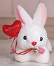 Tickles Rabbit with Best Sister Heart Soft Stuffed Plush Animal for Sister (Color:White & Red Size: 26 cm)
