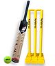 Airic Poplar Willow Full Size Scoop Bat with Premium Plastic Wickets and Tennis Ball Cricket Kit