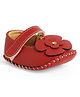Chiu Floral Applique Designed Velcro Closure Booties - Red