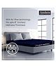 Ambra Linens Fitted Bed Mattress Protector/Cover, Single-Navy Blue