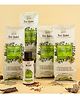 Nat Habit Ready to Apply Henna Paste & Stain Boost Hair Oil Combo For Henna Colouring & Relieving Dryness (880g, 50ml)