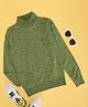 Pantaloons Junior Full Sleeves Solid Sweater - Olive Green