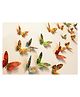 Sky Goodies Paper Butterflies for Wall Decoration: Set of 24