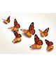 Sky Goodies Paper Monarch Butterflies for Wall Decoration: Set of 24