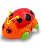 KiddyBuddy Key Operated Ladybug Wind Up Toy - (Color May Vary)