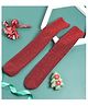 Tipy Tipy Tap Christmas Theme Shimmered Socks - Red