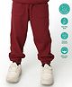 Greendeer 100% Cotton Solid Sweat Pants - Maroon