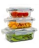 TEX-RO Air Tight Container For Fridge Organizer Plastic Container Storage Set Fridge Storage Boxes Kitchen Accessories Items Set Organization & Kitchen Storage Set of 3 - Transparent