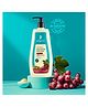 Pilgrim French Red Vine & Hyaluronic Acid Ultra-Smooth Body Lotion With Long-Lasting Moisturization - 400 ml