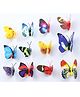 JAAMSO ROYALS Multicolour Butterfly Wall Sticker Butterfly Sticker Sheet ( 12 Pcs)