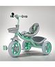 Baybee Beagle Baby Cycle for Kids, Plug Kids Tricycle with Eva Wheels, Safety Belt, Footrest & Toy Storage Basket | Kids Cycle Trikes | Baby Tricycles - Green