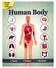 Human Body : Facts Photos Quizzes - English