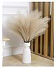 Homesake Fluffy Artificial Pampas Grass Sticks in Coffee for stylish décor perfect for Diwali, home, or office. (Pack of 3)