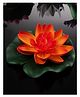 Homesake Artificial Floating Lotus Flowers with Lily Pad  lifelike décor for home, garden, pond, and Puja, Set of 6 Orange
