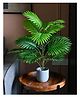 Homesake Artificial Faux Palm Acacia Plant vibrant tropical tree home office décor, living room corners (without pot) 28-inch