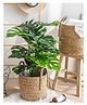 Homesake Artificial Monstera Plant faux tropical tree home office décor, perfect for living room corners (without pot) 28-inch