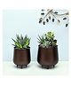 Homesake Metal Flower Pots DistressToned Garden Planters 7.5/7 Inch Indoor Round Plant Containers Pack 2 Greens Antique Copper