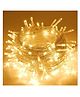 Homesake warm white Christmas string lights 35 ft extra-long  with 100 LEDs on copper wire for indoor outdoor holiday decor