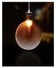 Homesake Nordic Postmodern Brown Glass Hanging Lamp Chandelier With G-9 Bulb for Restaurants and Bars Decorative Lighting