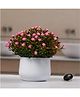 KOOKEE Artificial Flower Plant for Home, Office, & Event Decor (11478)