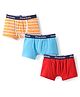 Pine Kids Cotton Knit Trunk with Stripes Pack of 3 (Color May Vary)