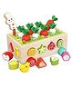 Wudly Wooden Carrot Harvest & Fruit Shape Sorting Toy- Multicolour