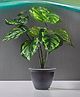 Go Hooked  Artificial Philodendron Plant with complimentary pot | 12 Green Patterned Leaves | Ornamental Plant for Home Decor/Office Decor