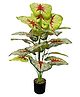 Go Hooked  Artificial Plant with complimentary pot in | Floor Faux Tropical Plants Decorative Plant for Home Office(12 Leaves Plant)