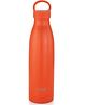 Sizzle Sleek Modern Stainless Steel Water Bottle 750ml for Kids & Adults | Lightweight, Leakproof  Orange  (Pack of 1)