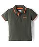 Pepe Jeans Cotton Knit Half Sleeves Solid Polo T-Shirt - Olive Green