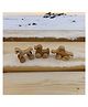 neemtoys Set of 3 Neem Wooden Wheel Toys - Horse, Duck & Elephant Shapes