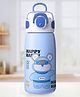 ZOE Stainless Steel Water Bottle With Bear Print Blue - 470 ml