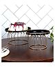 Amaya Decors Black & Gold Metal Cake Platter Set of 2 with 2 stand.