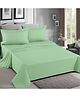 Home Prides Essenza 200 Pure Cotton - Foam Green, Flat King Bedsheet Set