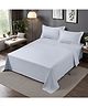 Home Prides Divine 300 Pure Cotton - Gray Violet, Queen Size, Flat Bedsheet Set