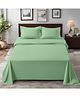 Home Prides Imperium 500 Pure Cotton - Foam Green, King Size, Flat Bedsheet Set
