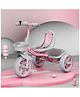 StarAndDaisy Tricycle for Kids 2-5 Years Boys & Girls/Tri Cycles/Trike Cycle with Seat Belt, Bell, 360° Rotating Handlebar & Dual Storage Basket, Children Bike Toy with Pedals - Pink
