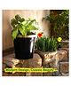 ecofynd 7 inches Black Metal Planters for Living Room
