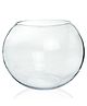 ecofynd 4 Inch Glass Terrarium Plant Bowl